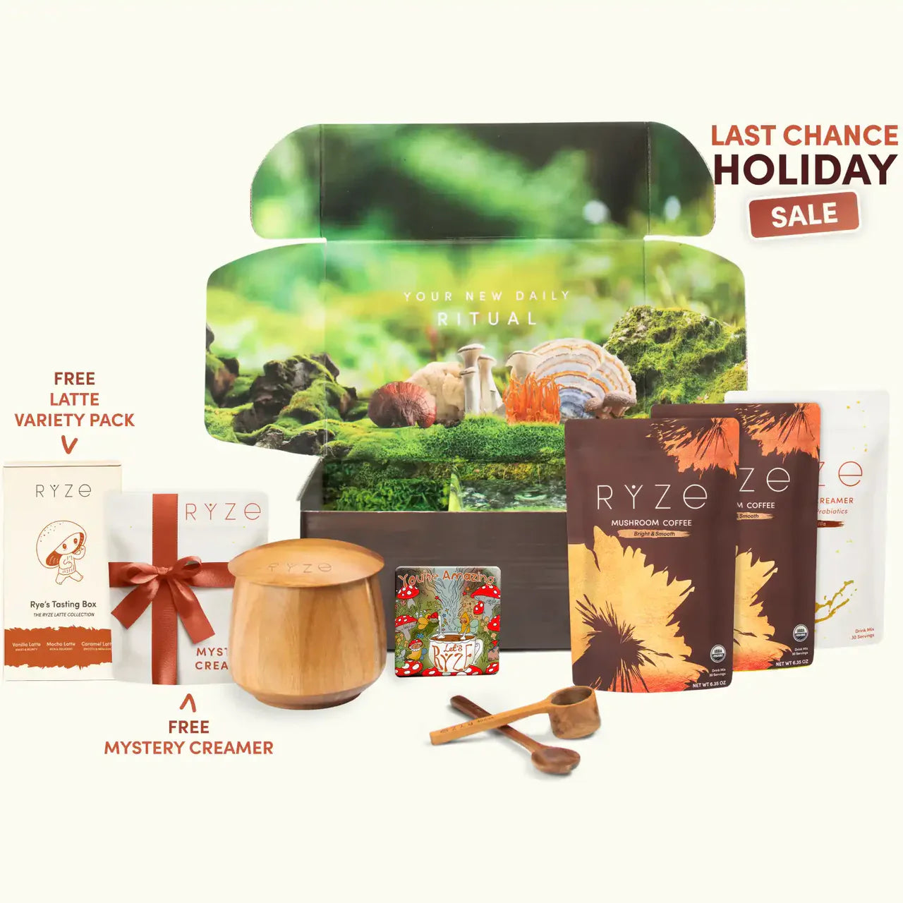 Mushroom Coffee - Select MG3675