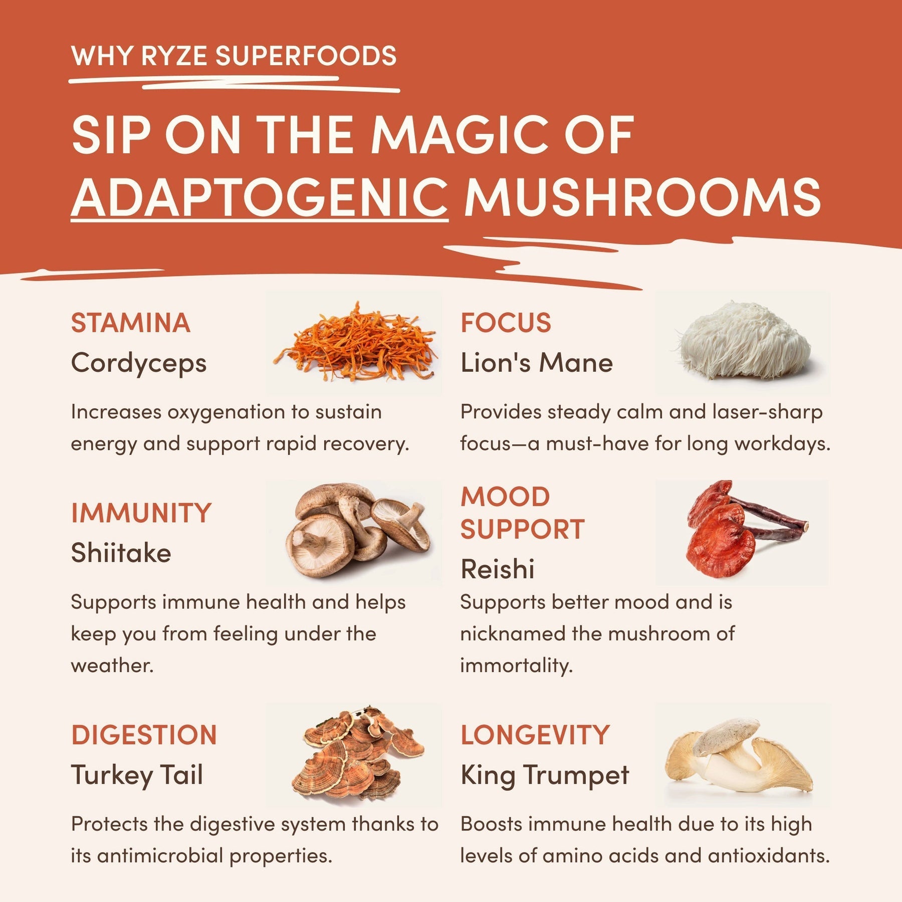 Superfood Creamer - Select MG7684